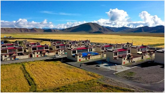 西藏自治区生态环境监测中心开展“作风怎么看、环保怎么干、高地怎么建、前列怎么走”大讨论